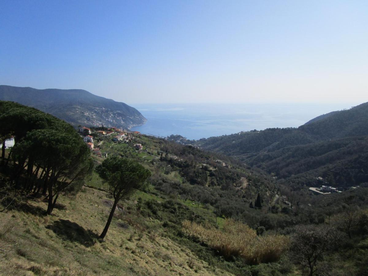 Cinque Terre & Portofino Lodge-Dependance Bracco Moneglia Buitenkant foto