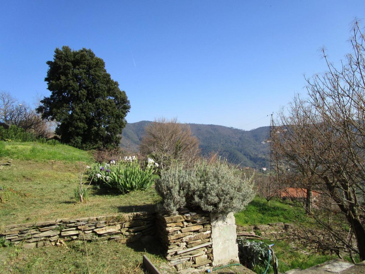 Cinque Terre & Portofino Lodge-Dependance Bracco Moneglia Buitenkant foto