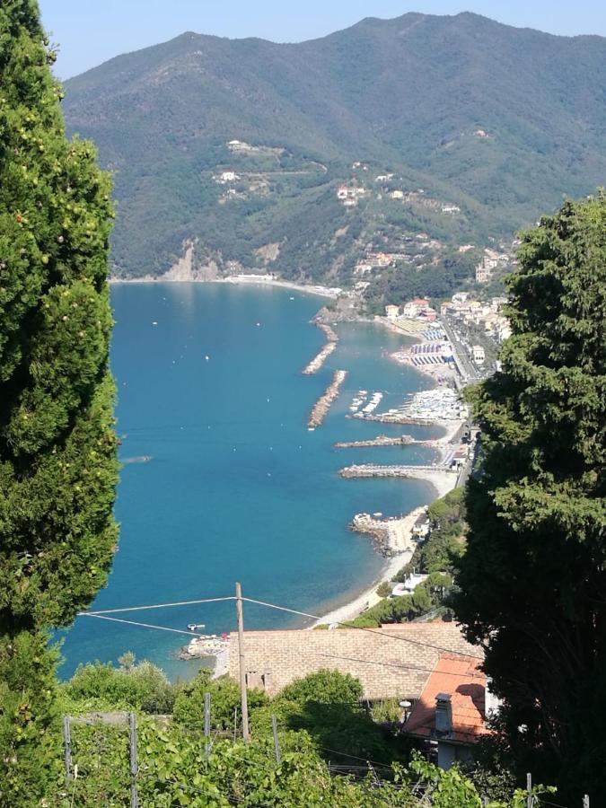 Cinque Terre & Portofino Lodge-Dependance Bracco Moneglia Buitenkant foto